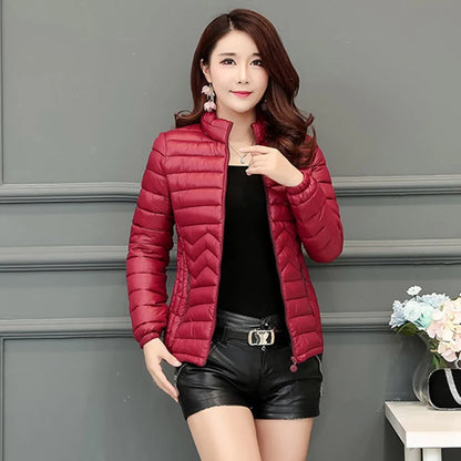 UniVibe Cotton-Padded Winter Jacket – Lightweight Warm Coat