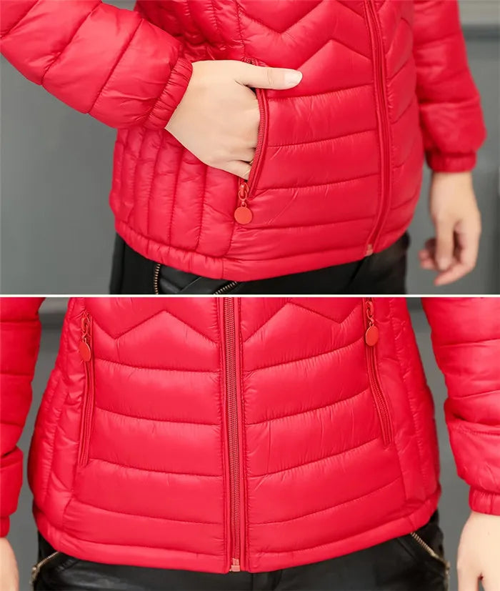 UniVibe Cotton-Padded Winter Jacket – Lightweight Warm Coat