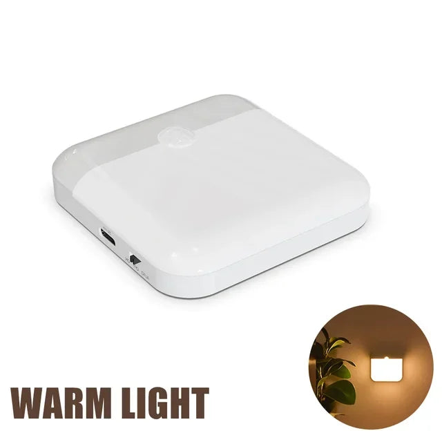 Motion Sensor Light