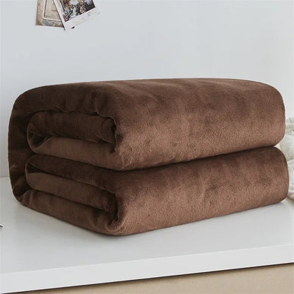 Spring Winter Winter Flannel Blanket