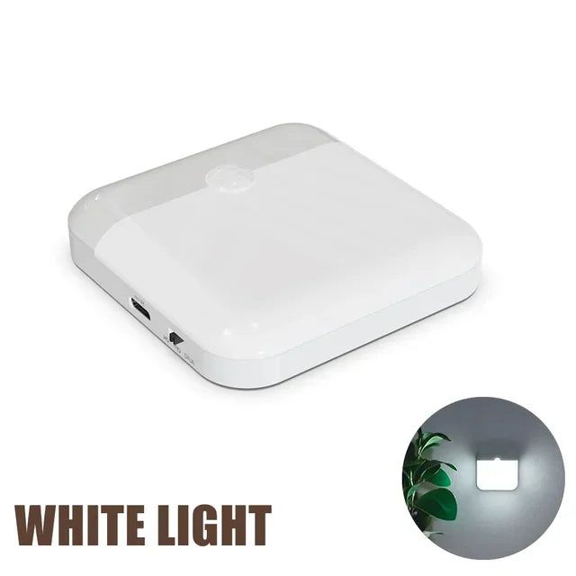 Motion Sensor Light