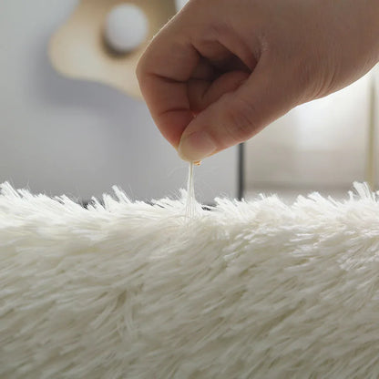 White Fluffy Hall Carpet