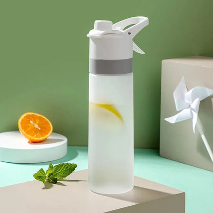 650ml Spray Bottle