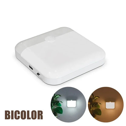 Motion Sensor Light