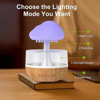 Rain Cloud Humidifier